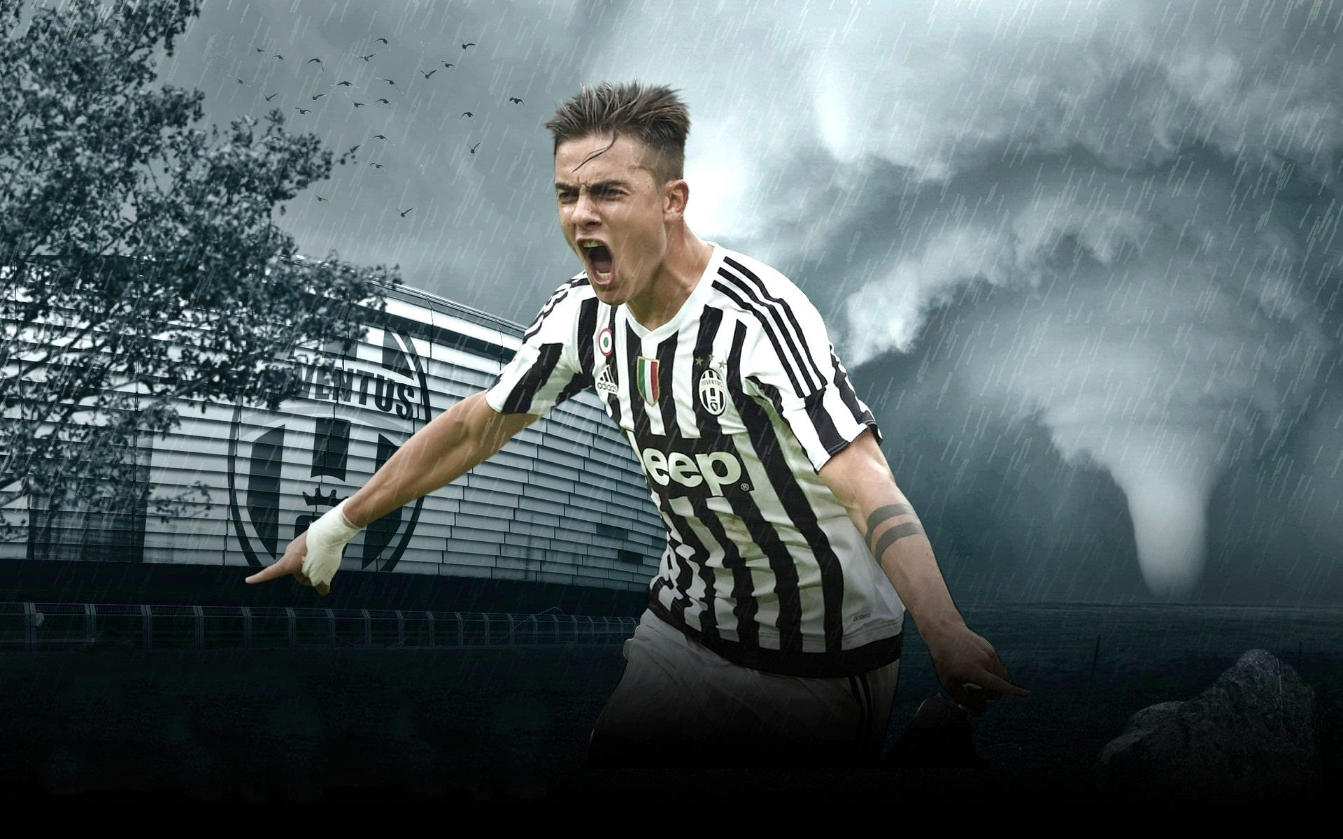 克媒：汉堡进行球衣慈善拍卖，18岁武斯科维奇球衣成标王（克罗地亚媒体：汉堡举办球衣慈善拍卖，18岁武斯科维奇战袍拍得最高价）