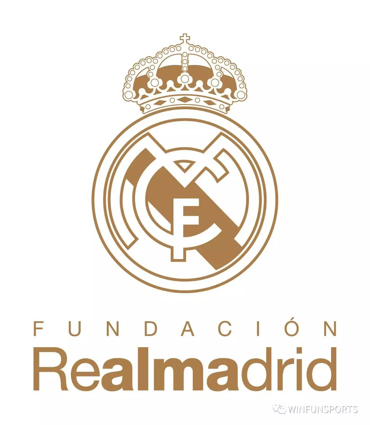 沙特队组织严密