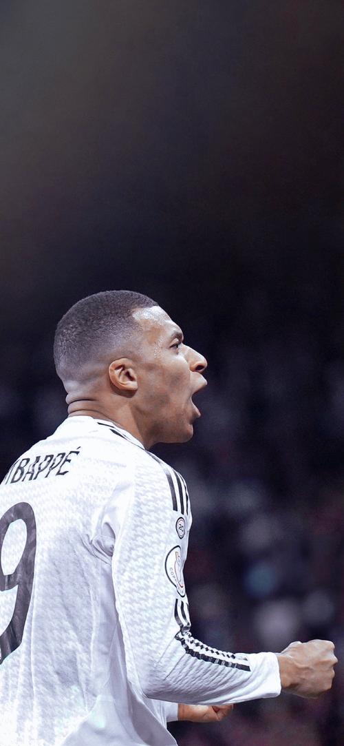 热度拉满！记者：斯洛文尼亚球迷现场观战为东契奇助威